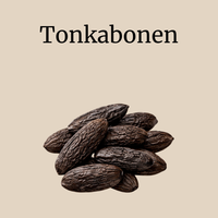 Tonkabonen