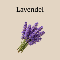 Lavendel